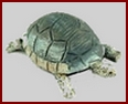 a107 tortoise